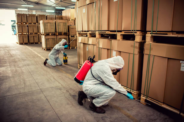 Best Termite Control Services  in River Hills, WI