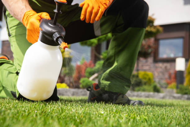 Best Mosquito Control Services  in River Hills, WI