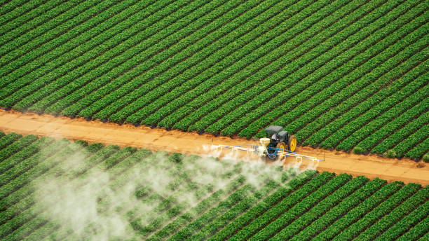 Pest Prevention Services in River Hills, WI