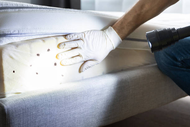 Best Residential Pest Control  in River Hills, WI