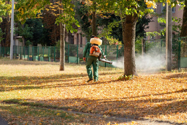 Best Best Pest Control Companies  in River Hills, WI