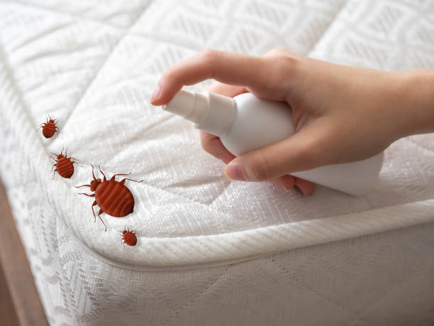 Pest Control for Restaurants in River Hills, WI