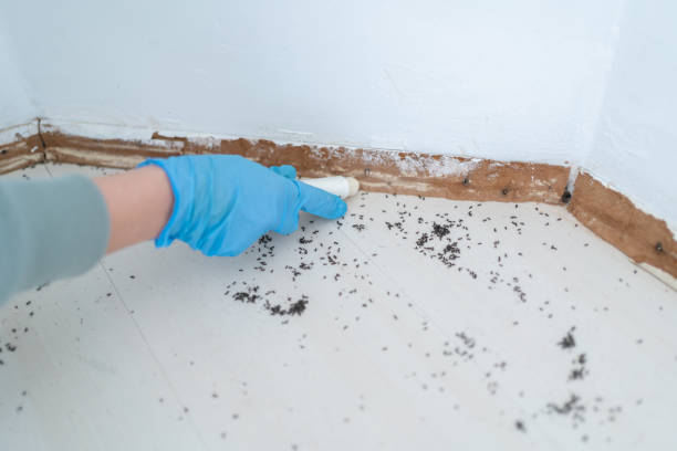 Best Pest Inspection Near Me  in River Hills, WI